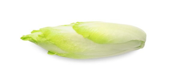 Photo of One raw ripe chicory isolated on white, top view