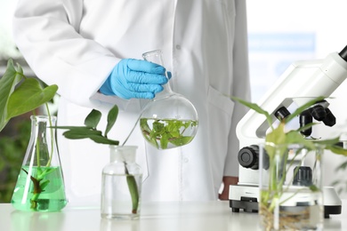Photo of Lab assistant holding flask with leaves at table. Plant chemistry