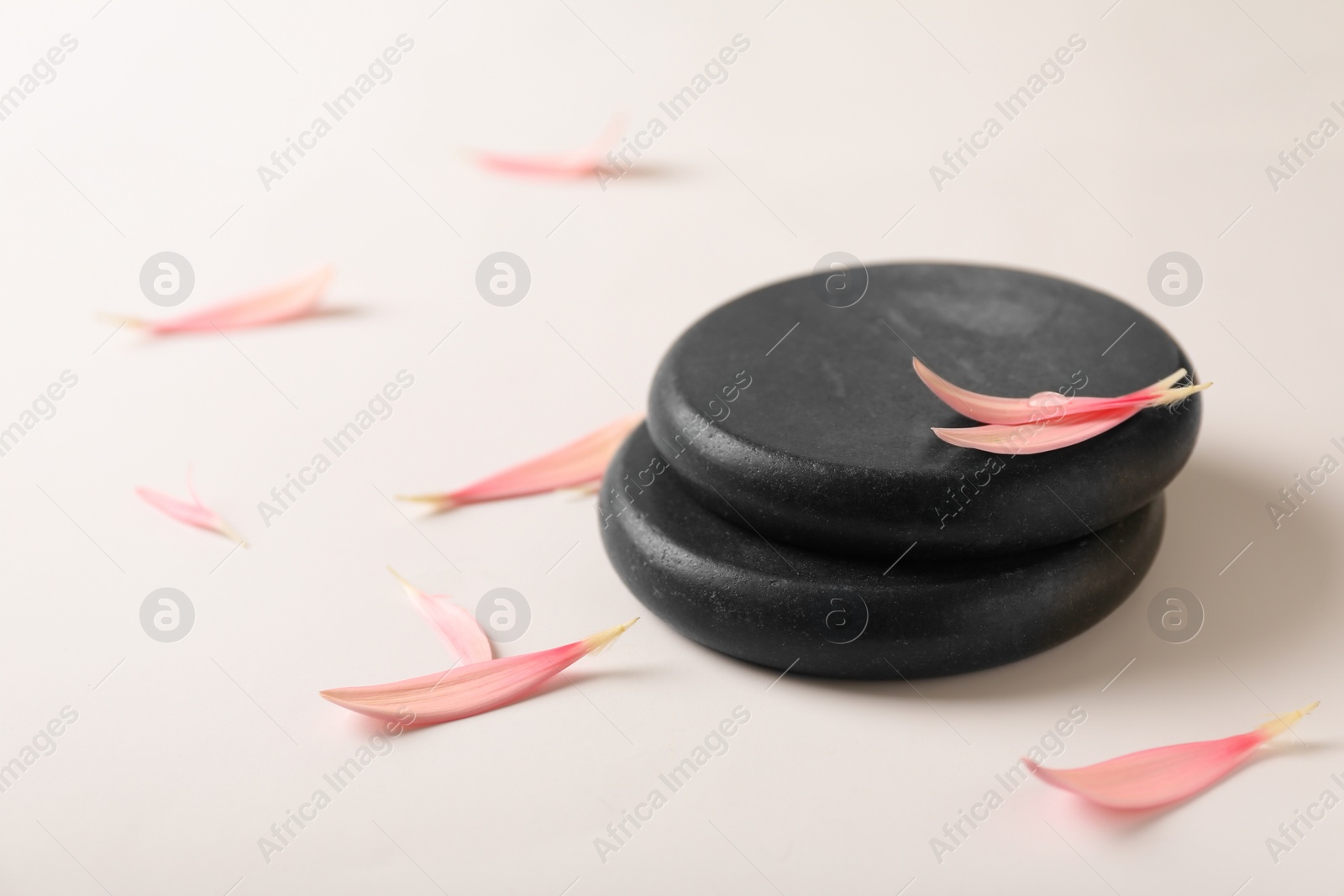 Photo of Stacked spa stones with flower petals on light background. Space for text