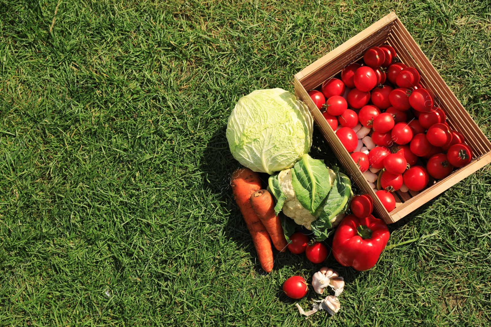 Photo of Different tasty vegetables on green grass outdoors, top view. Space for text