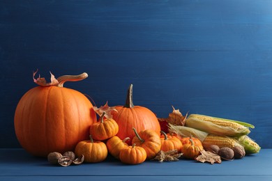 Photo of Thanksgiving day. Composition with pumpkins, leaves, walnuts and corn cobs on blue wooden table, space for text