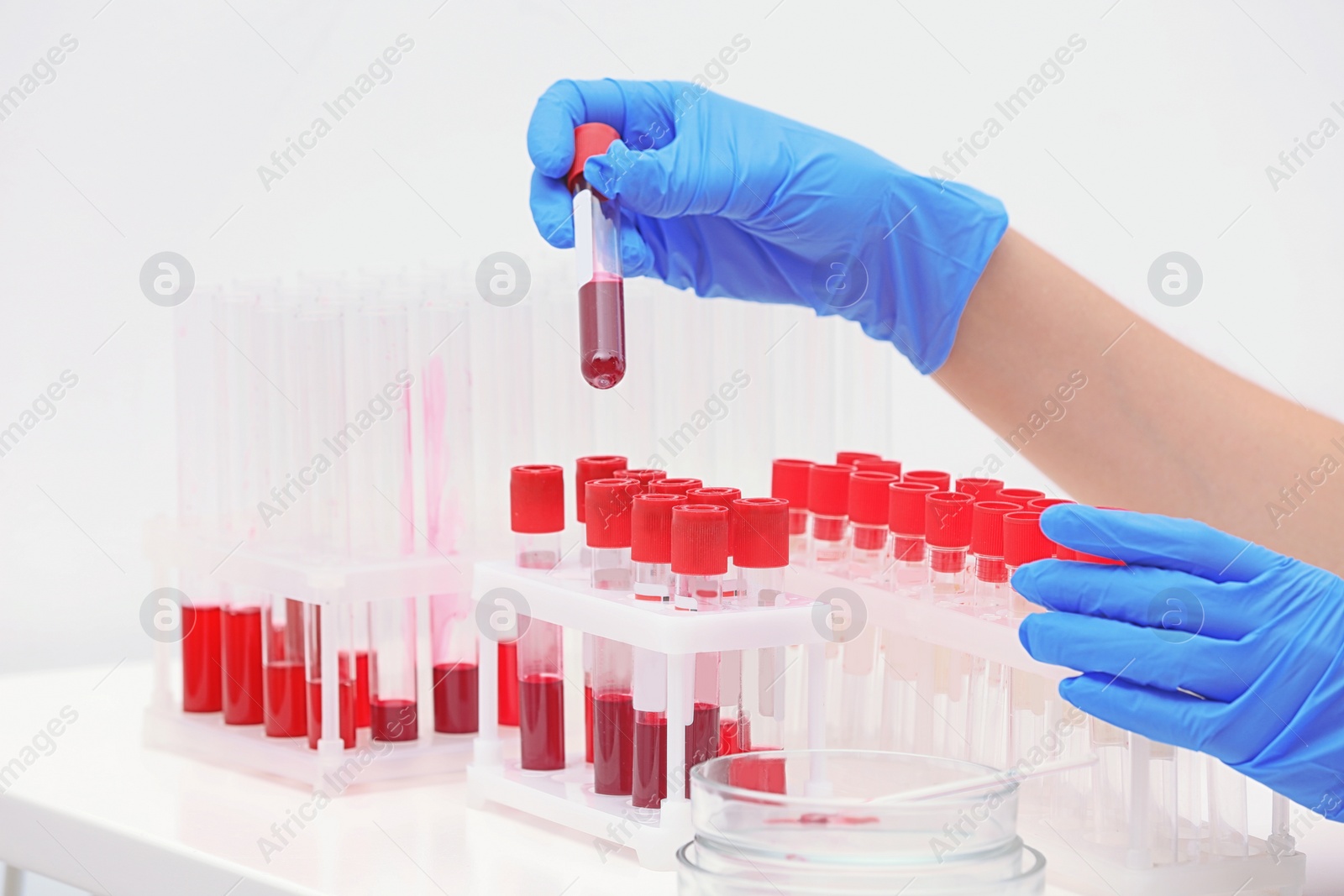 Photo of Scientist working with blood samples in test tubes at table