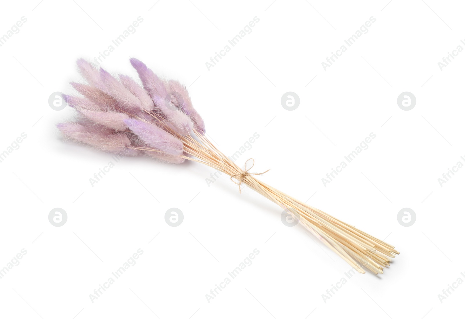 Photo of Bunch of beautiful dried flowers on white background