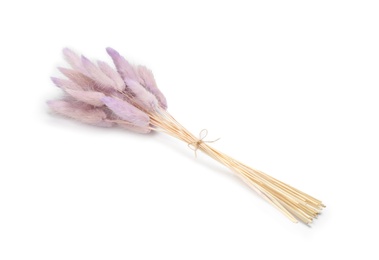 Photo of Bunch of beautiful dried flowers on white background