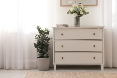 Chest of drawers and potted eucalyptus plant near window in room