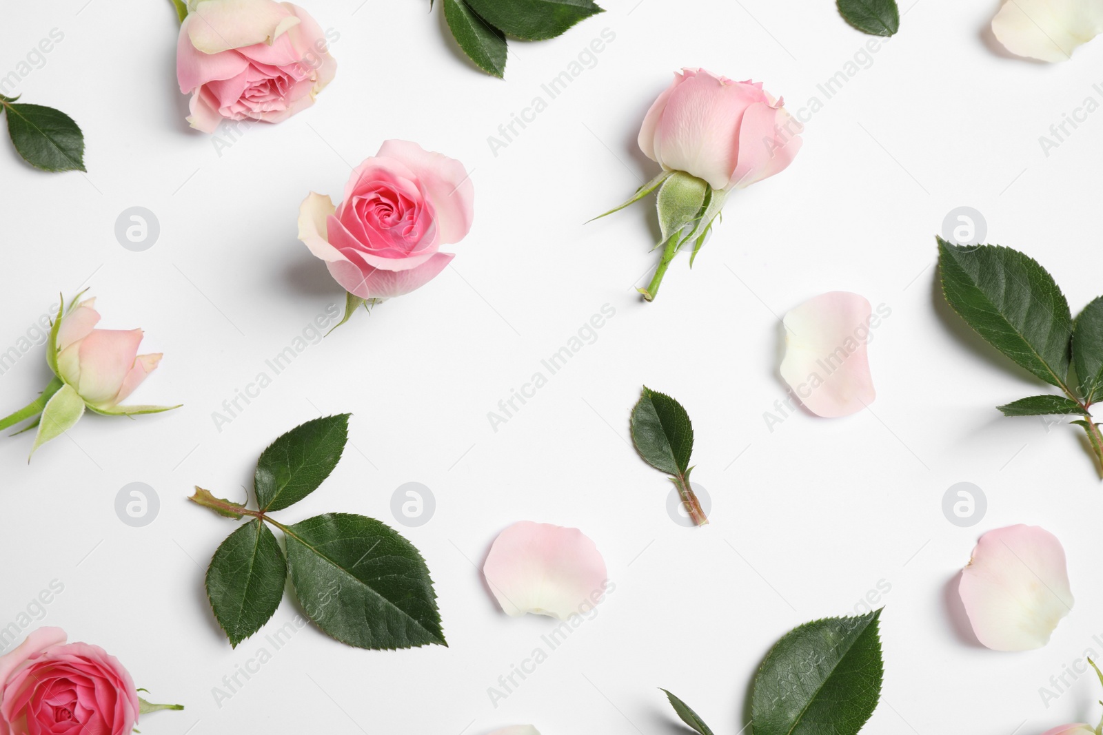 Photo of Composition with beautiful flowers on white background, top view. Floral card design