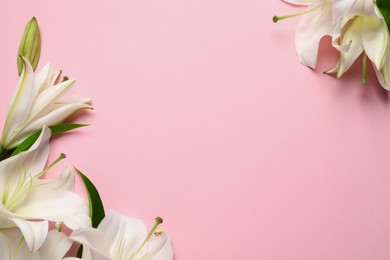 Photo of Beautiful white lily flowers on pink background, flat lay. Space for text