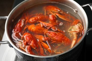 Fresh delicious crayfishes in pot, closeup view