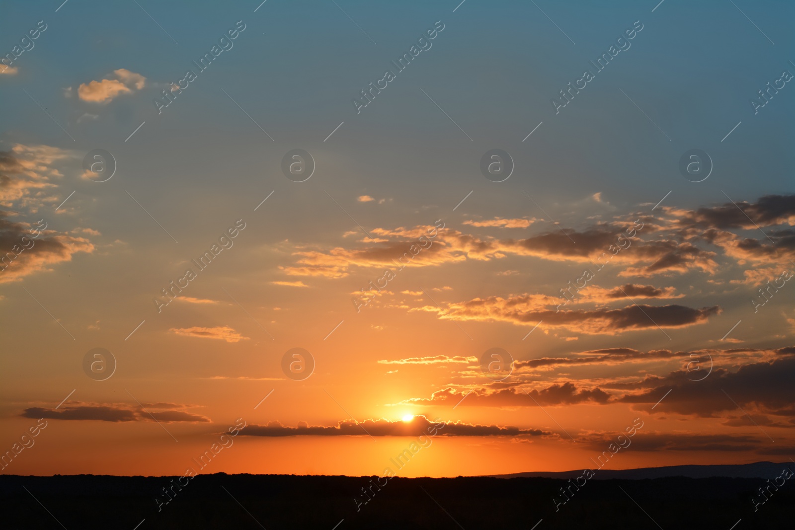 Photo of Picturesque view of beautiful field at sunset