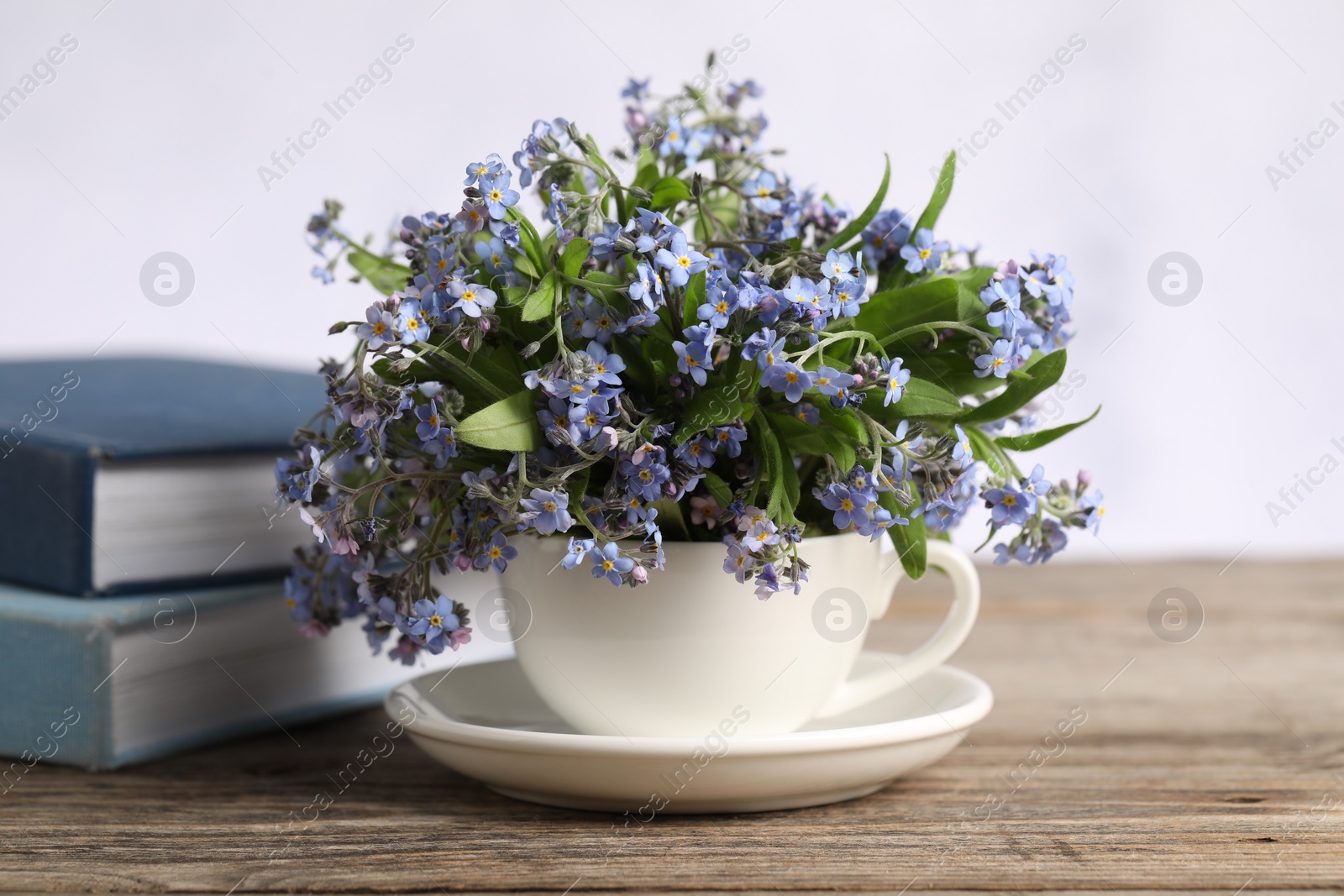 Photo of Beautiful forget-me-not flowers in cup, saucer and books on wooden table against light background, closeup