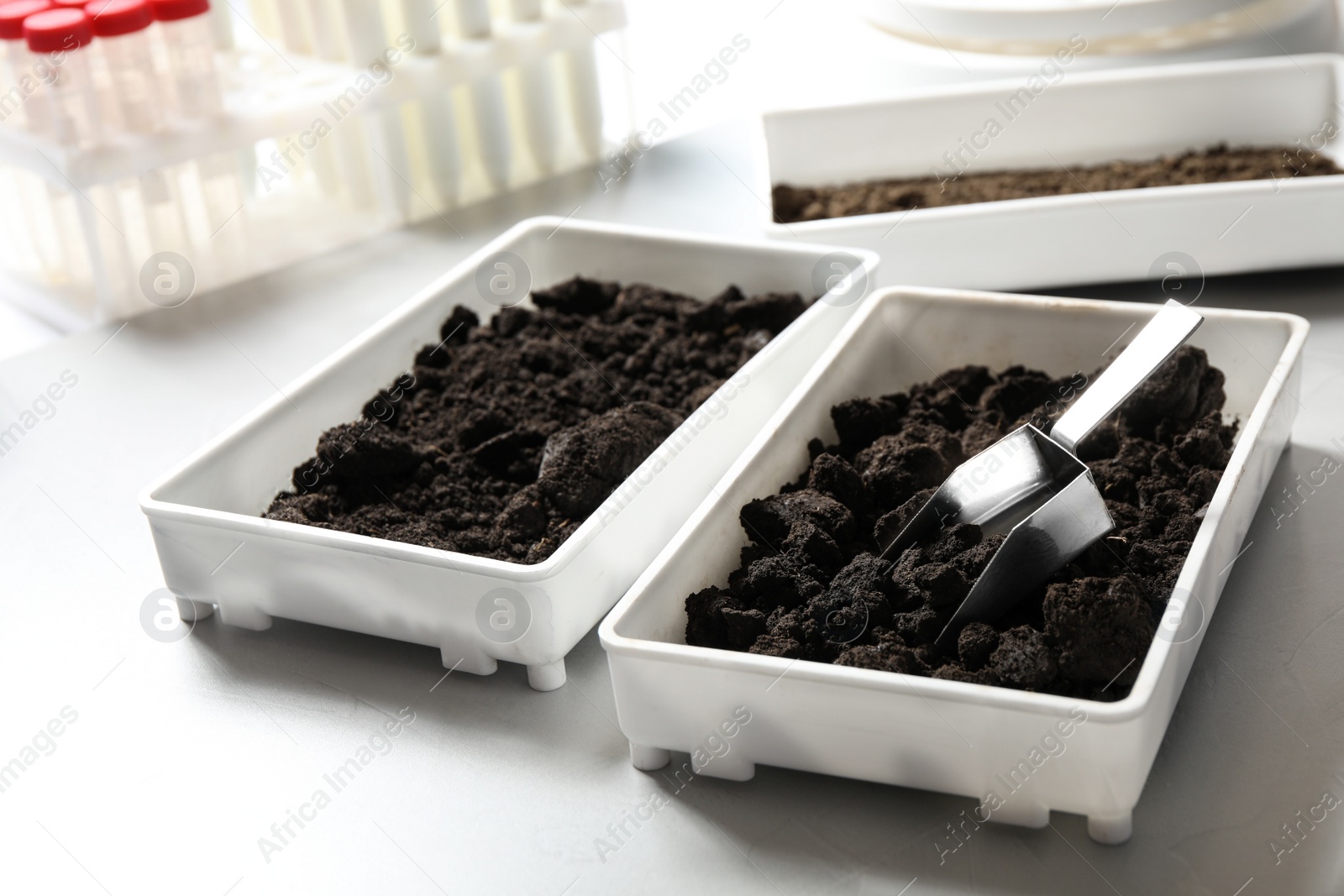 Photo of Containers with soil samples on table. Laboratory research