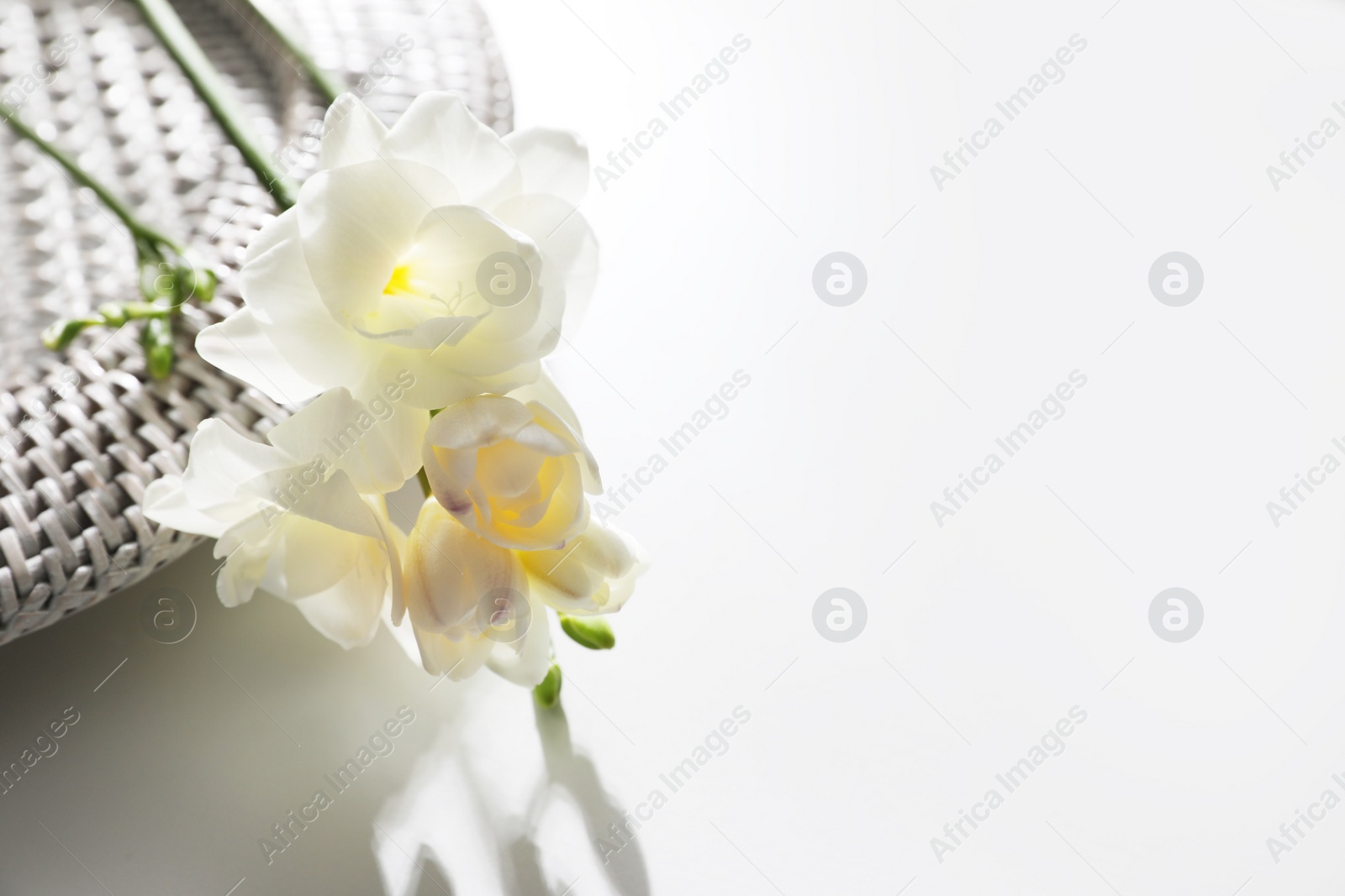 Photo of Beautiful freesia flowers on white table, closeup. Space for text