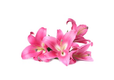 Photo of Beautiful pink lily flowers isolated on white