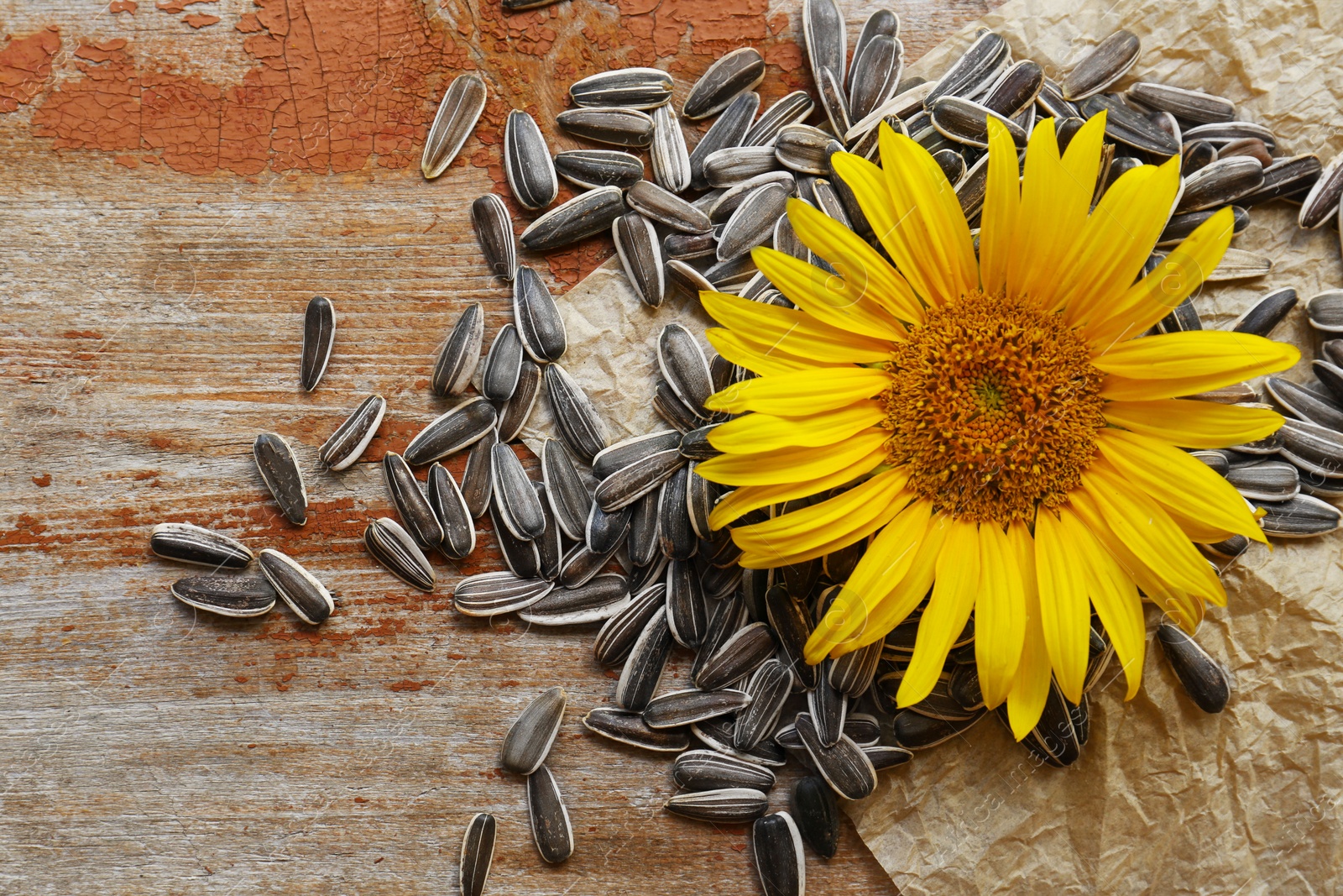 Photo of Sunflower seeds and flower on wooden table, flat lay