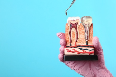 Photo of Dentist holding educational model of jaw section with teeth and professional tool on color background. Space for text