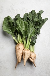 Fresh sugar beets with leaves on light grey table, flat lay