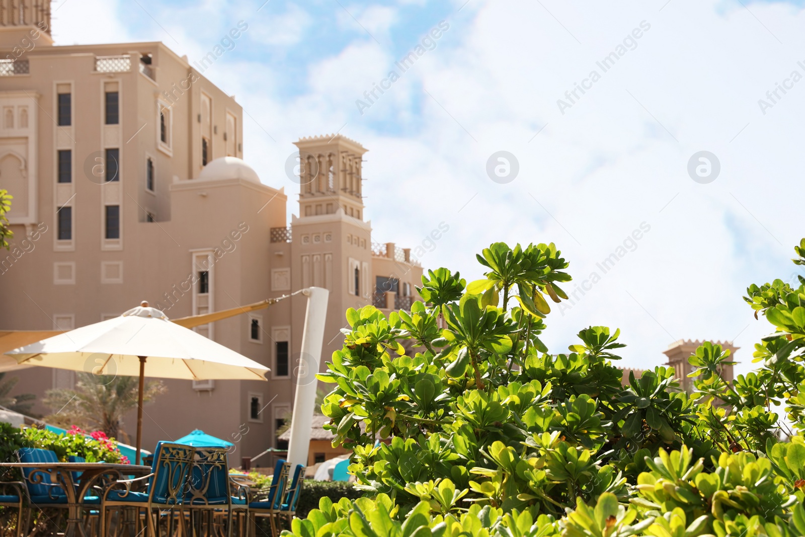 Photo of Sunlit green bush near outdoor cafe at tropical resort