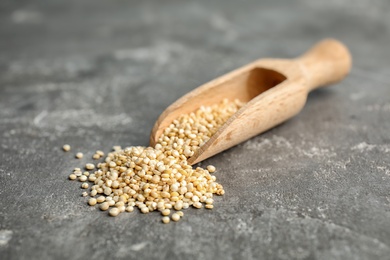 Scoop with white quinoa on grey background