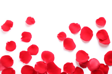 Fresh red rose petals on white background, top view