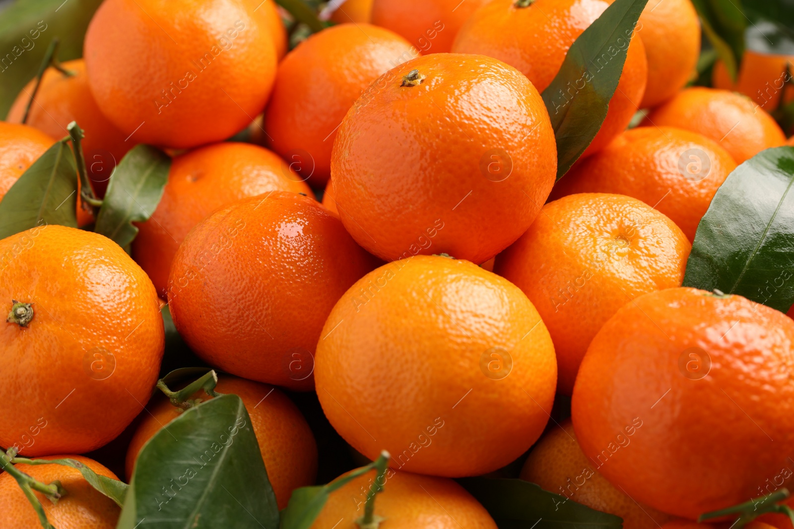 Photo of Delicious tangerines with leaves as background, closeup