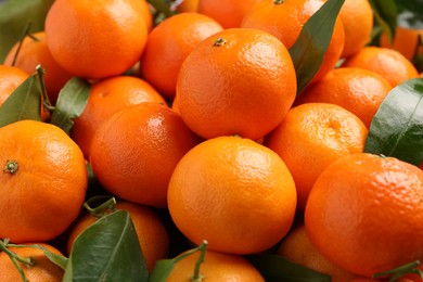 Delicious tangerines with leaves as background, closeup