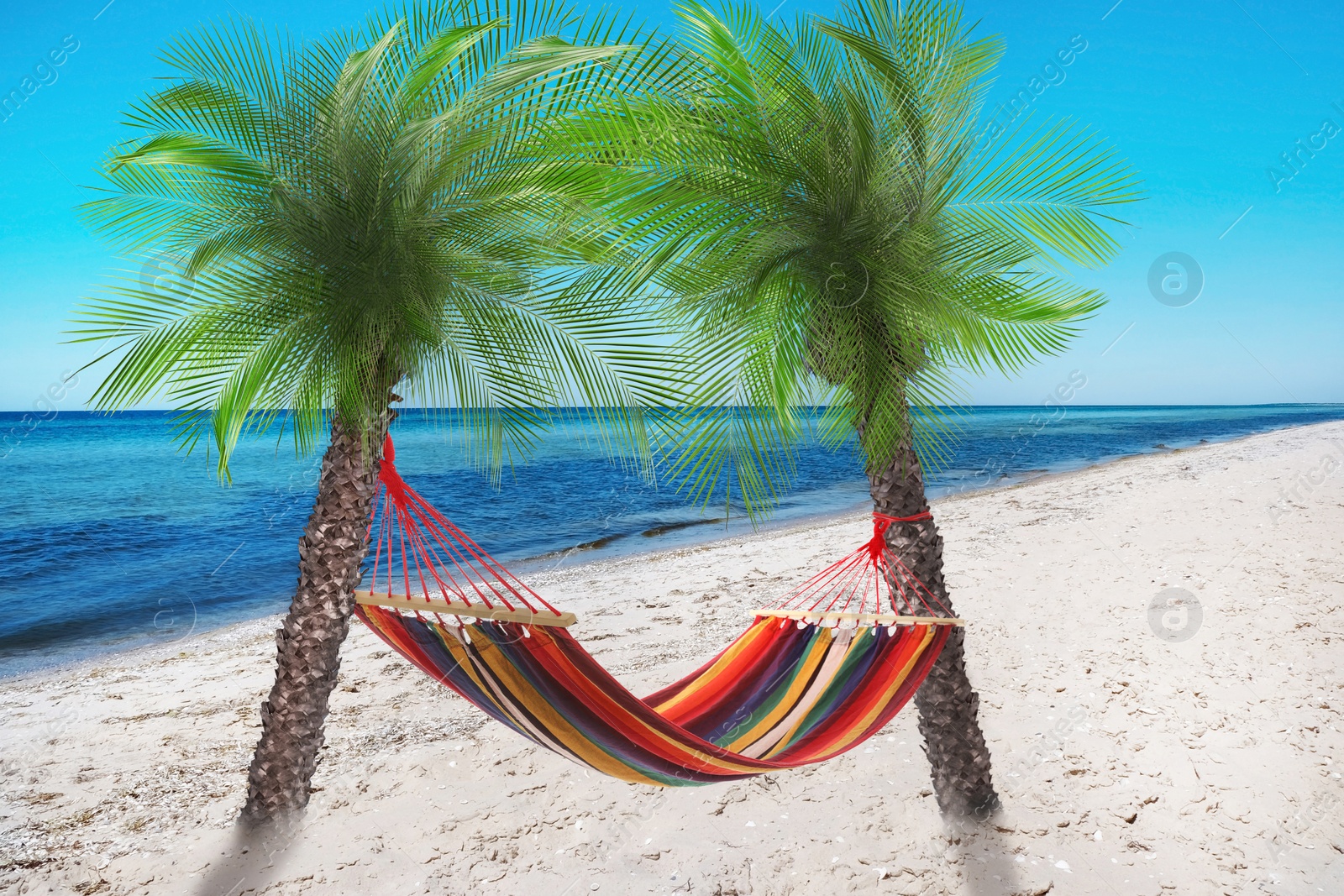 Image of Hammock between palms at sandy beach near sea on sunny day