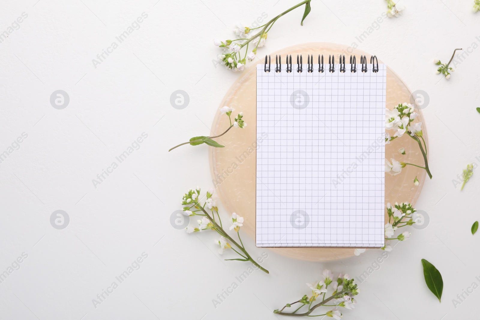 Photo of Guest list. Notebook and beautiful spring tree blossoms on white background, flat lay. Space for text