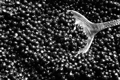 Metal spoon in black caviar, closeup