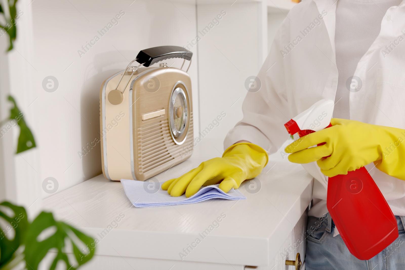 Photo of Spring cleaning. Young woman tidying up room at home, closeup