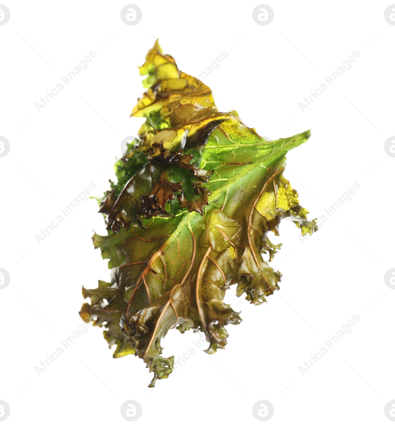 Photo of Tasty baked kale chip isolated on white