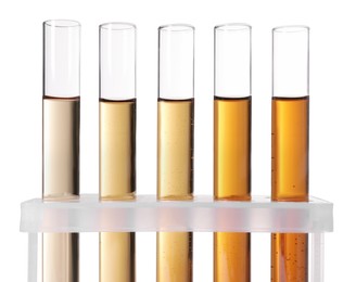 Photo of Test tubes with brown liquid in stand on white background