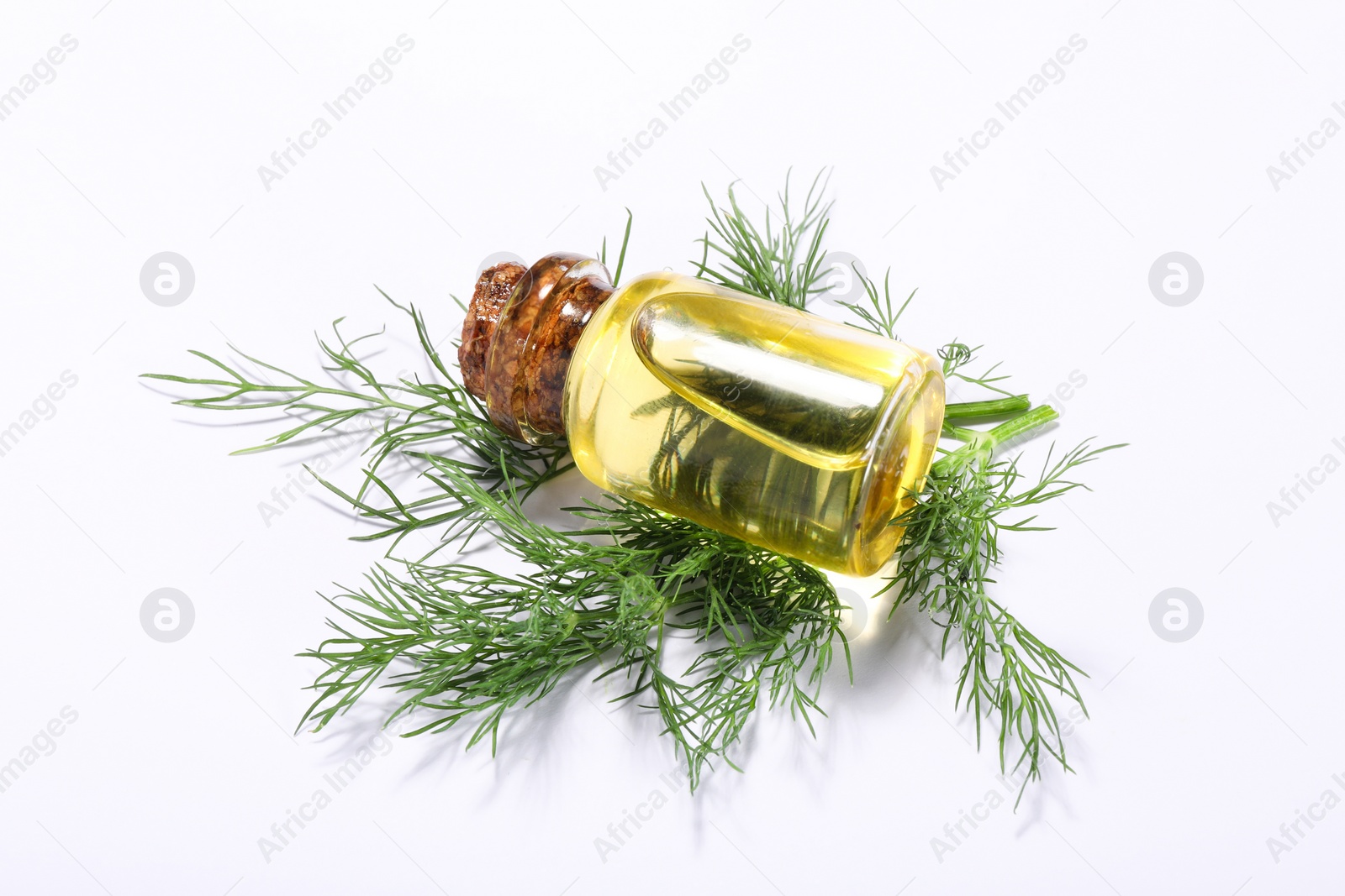 Photo of Bottle of essential oil and fresh dill on white background, closeup