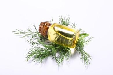 Photo of Bottle of essential oil and fresh dill on white background, closeup