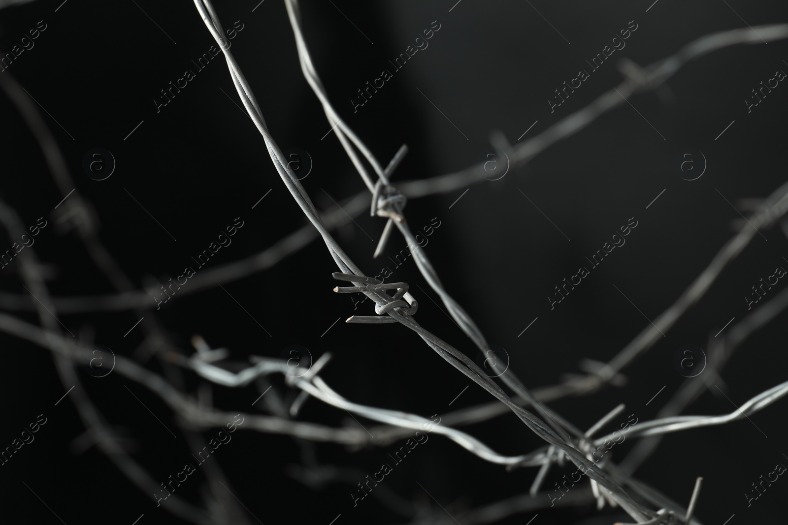 Photo of Metal barbed wire on dark grey background, closeup