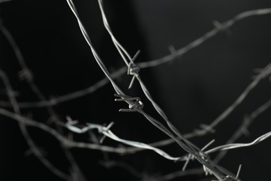 Metal barbed wire on dark grey background, closeup