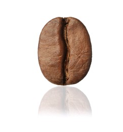 Image of Brown roasted coffee bean on white background 