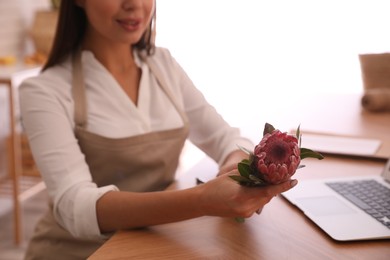 Photo of Florist with protea flower at table in store, closeup