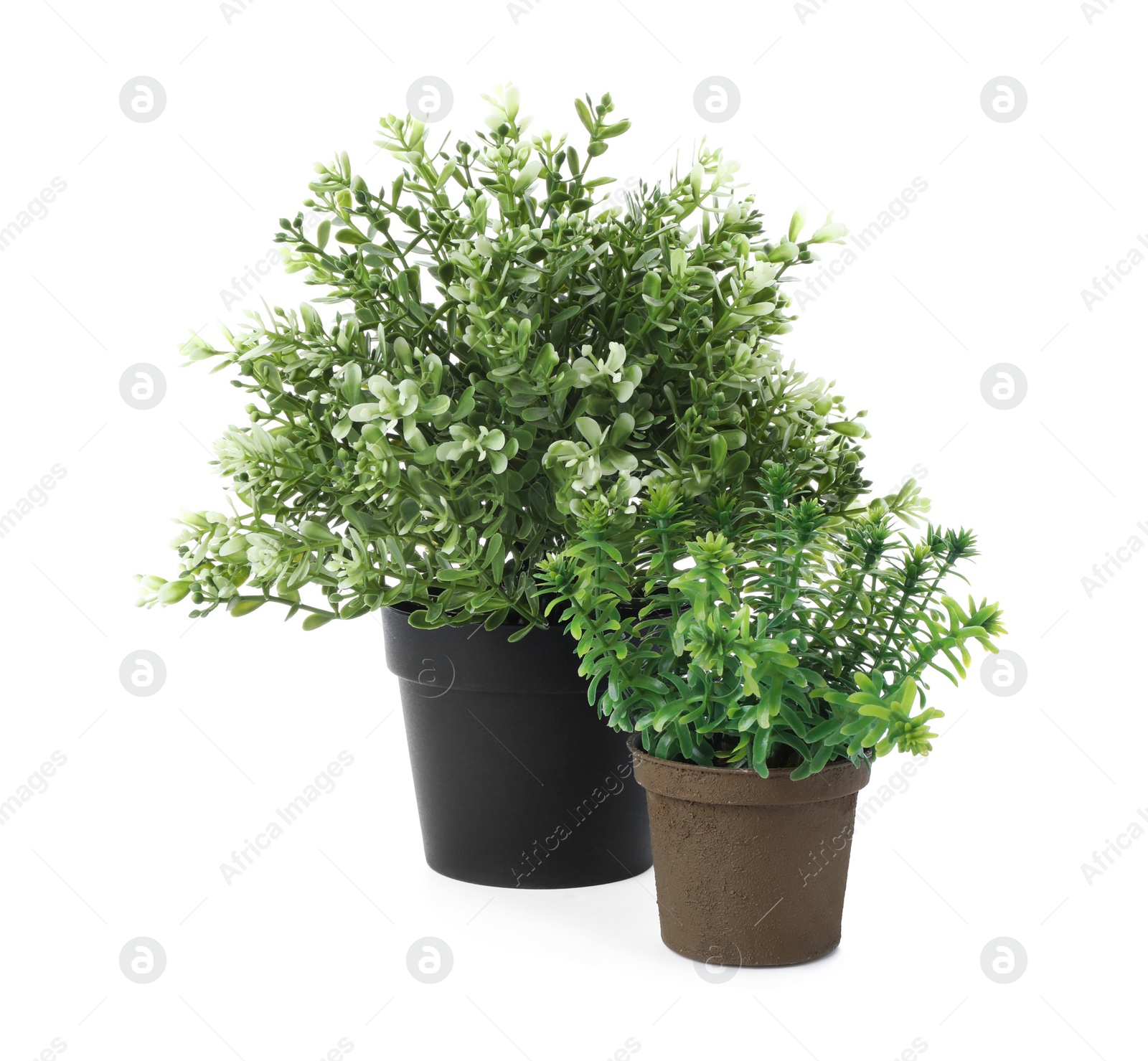 Photo of Beautiful artificial plants in flower pots isolated on white