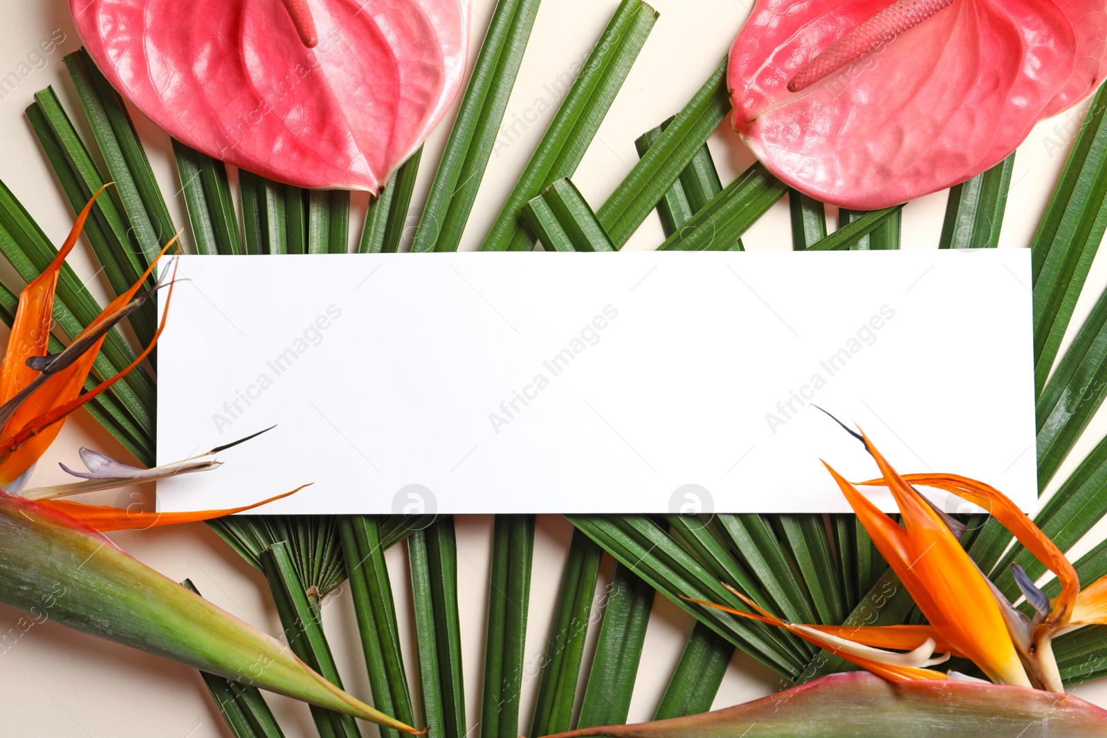 Photo of Creative composition with tropical flowers, green foliage and card on light background, top view