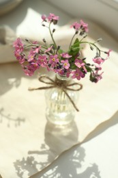 Photo of Beautiful pink forget-me-not flowers in glass bottle on window sill