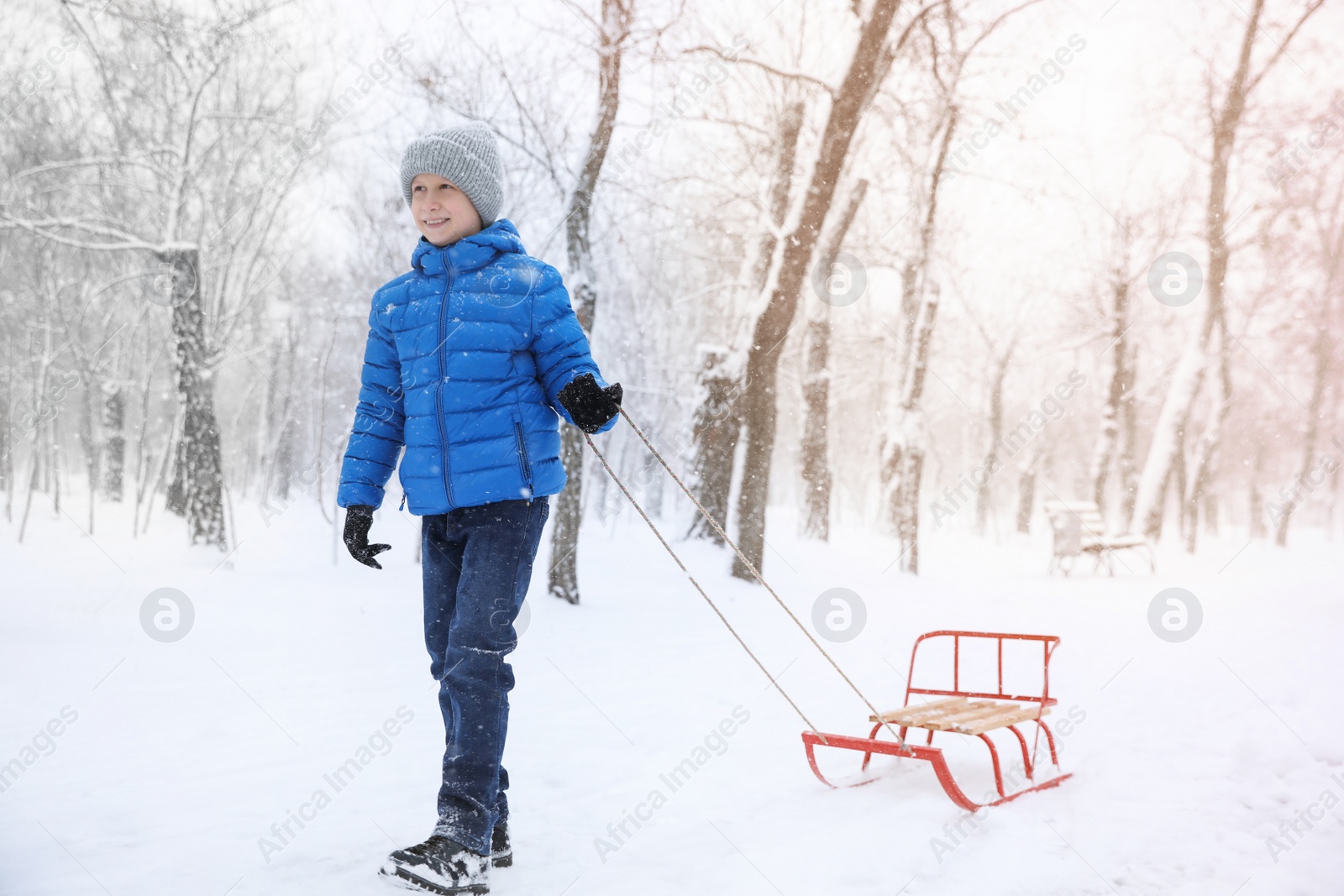 Photo of Cute little boy with sleigh outdoors on winter day