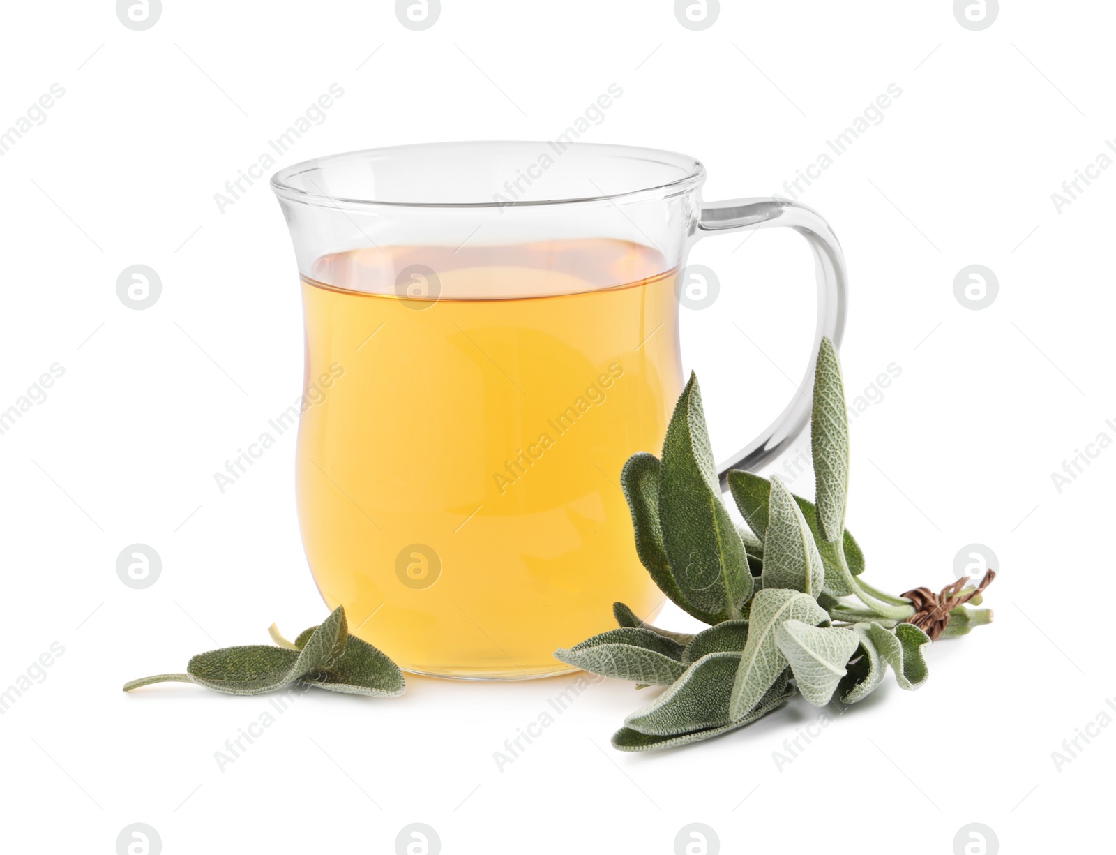 Photo of Cup of aromatic sage tea and fresh leaves on white background