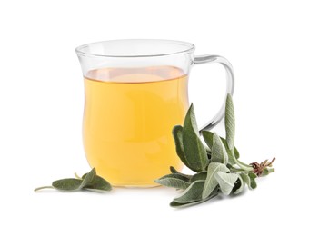 Photo of Cup of aromatic sage tea and fresh leaves on white background