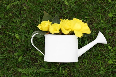 White watering can with beautiful yellow oenothera flowers on green grass, top view