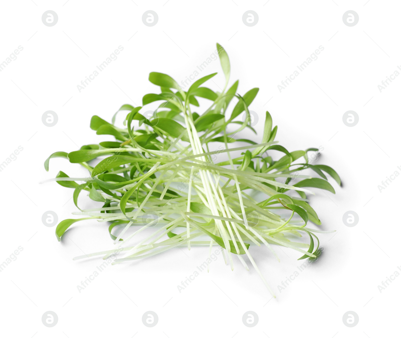 Photo of Pile of fresh microgreen isolated on white