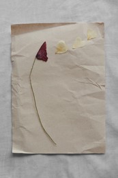 Sheet of paper with different dried flower petals on white fabric, top view