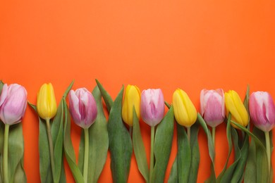 Photo of Beautiful colorful tulips on orange background, flat lay. Space for text