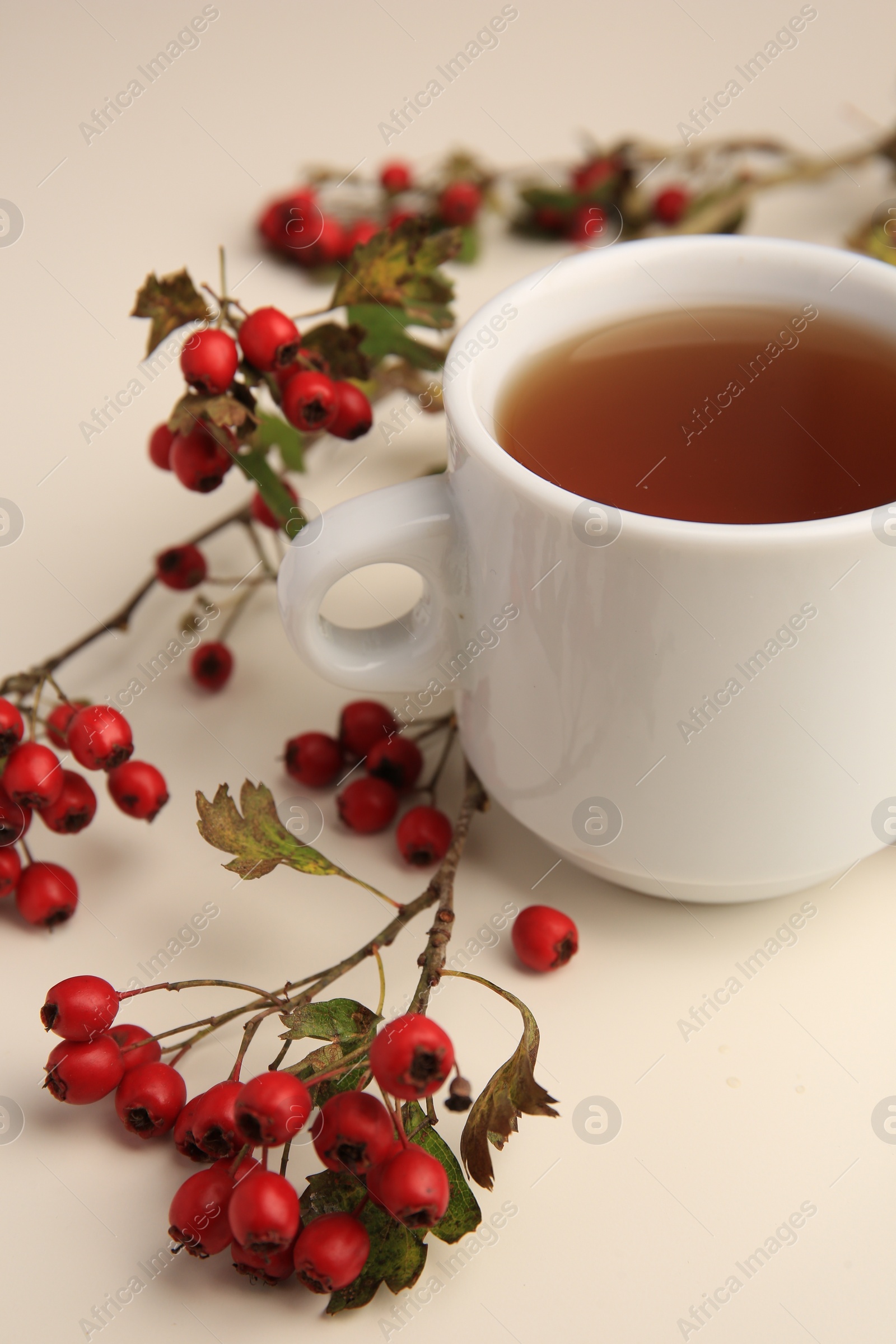 Photo of Aromatic hawthorn tea in cup and branch with berries on beige table, closeup