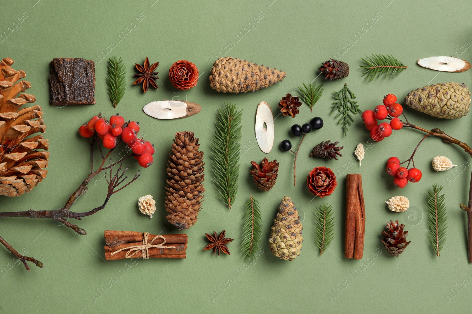 Photo of Flat lay composition with pinecones on green background