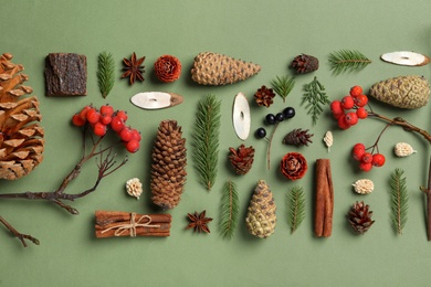 Photo of Flat lay composition with pinecones on green background